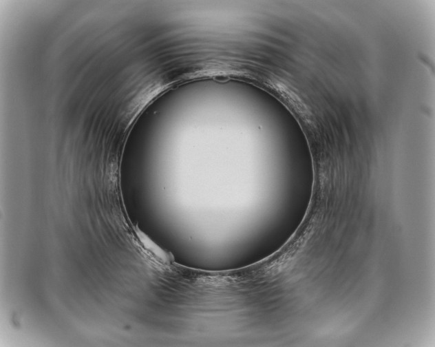 X0000098051185200804071500