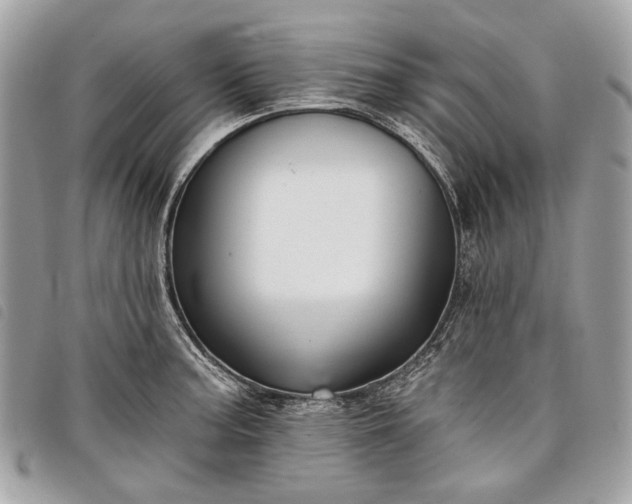 X0000098051187200804071500