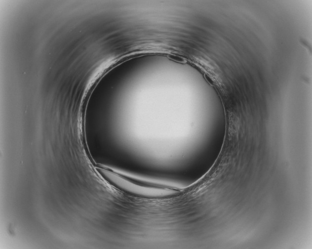 X0000098051188200804071500