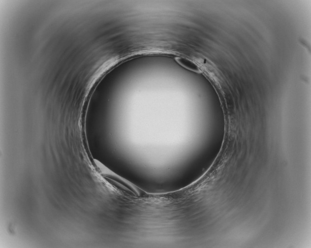 X0000098051189200804071500