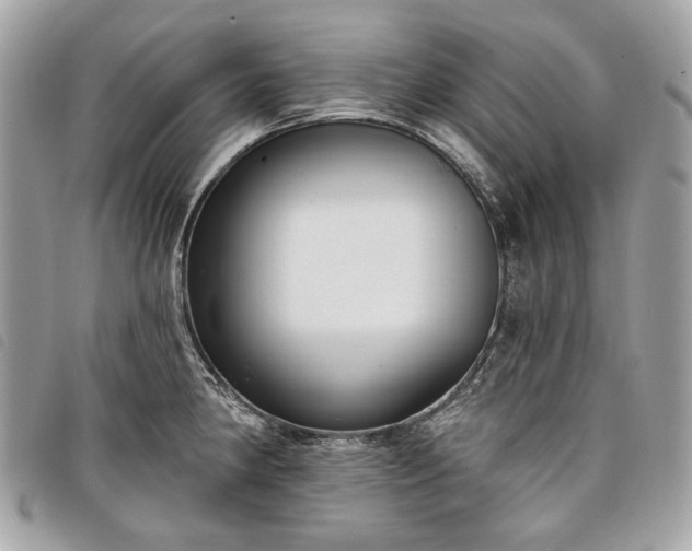 X0000098051190200804071500