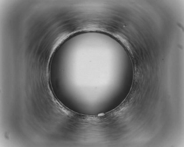 X0000098051191200804071500