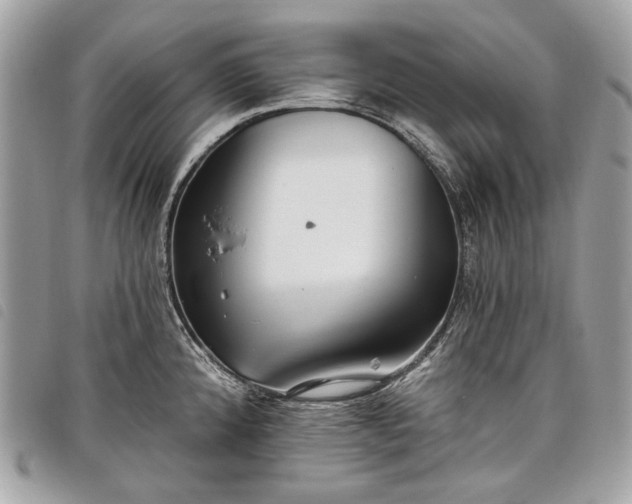 X0000098051192200804071459