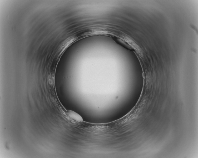 X0000098051193200804071459