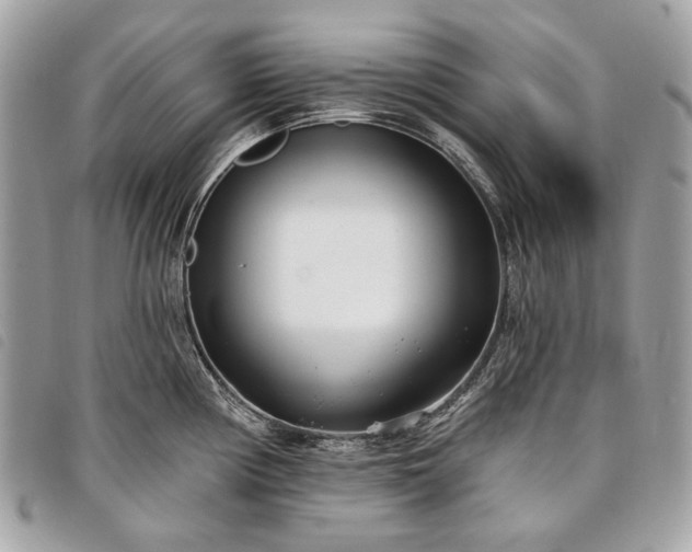 X0000098051194200804071459