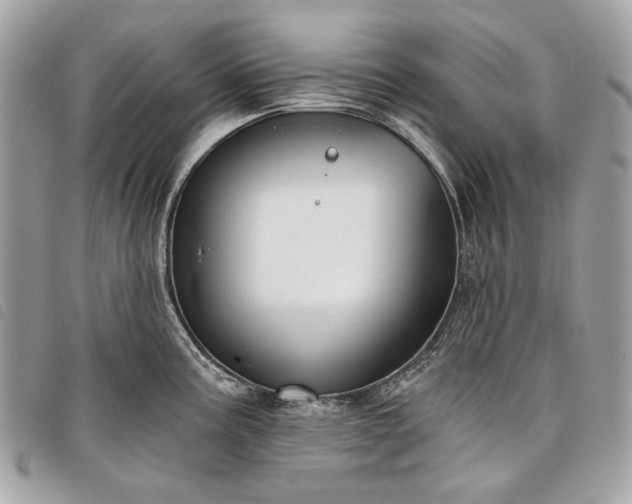 X0000098051195200804071459