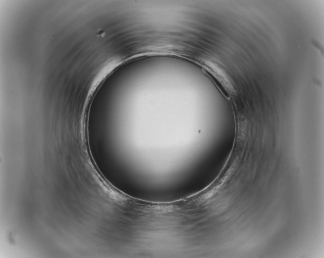 X0000098051196200804071459