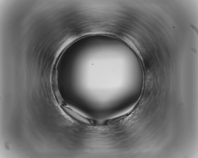 X0000098051197200804071459