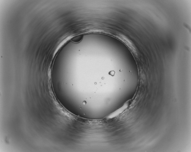 X0000098051198200804071459