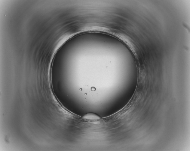 X0000098051199200804071459