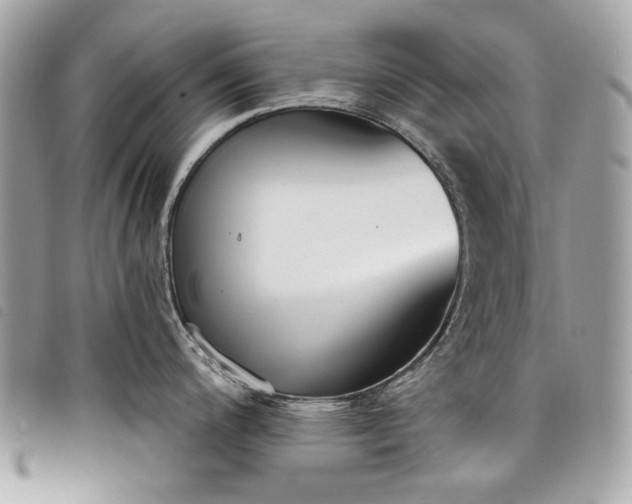 X0000098051200200804071459