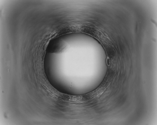 X0000098051201200804071459