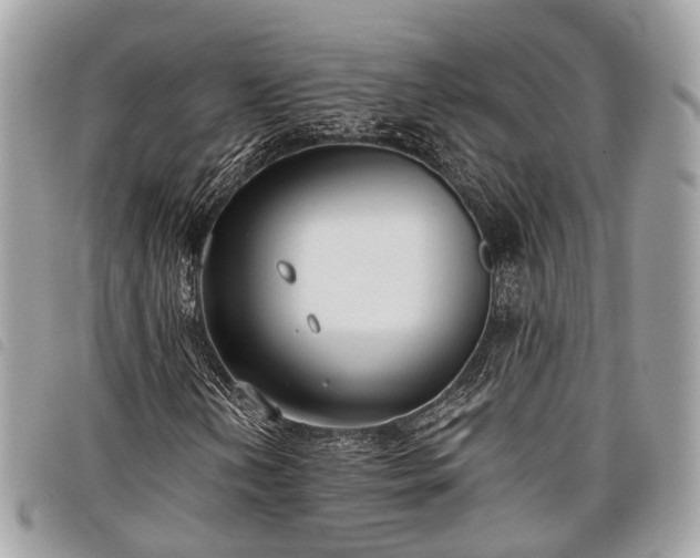 X0000098051202200804071459