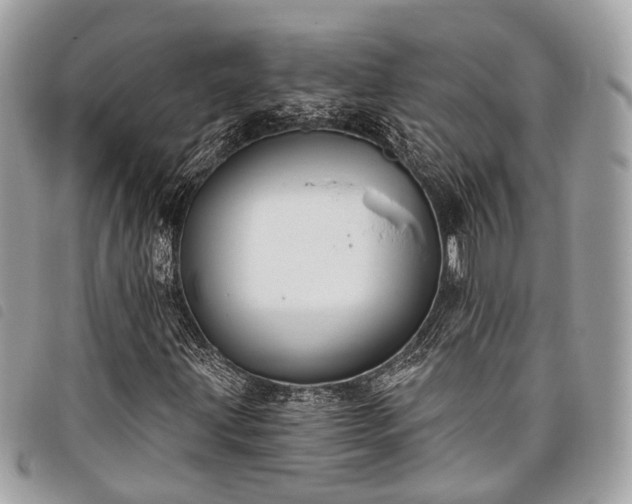 X0000098051203200804071459