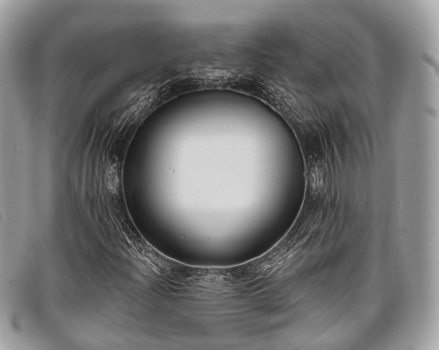 X0000098051204200804071459