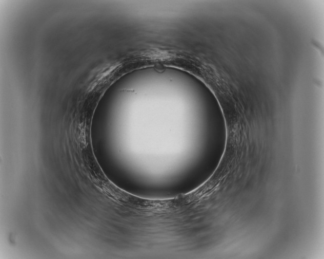 X0000098051205200804071459