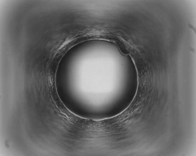 X0000098051206200804071459