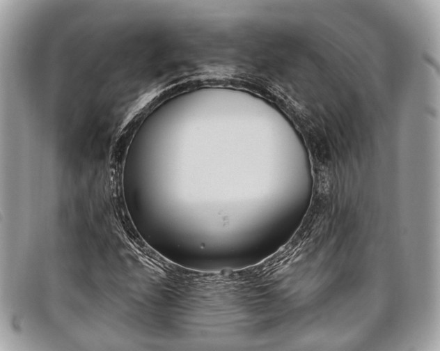 X0000098051208200804071459