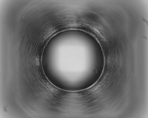 X0000098051209200804071459