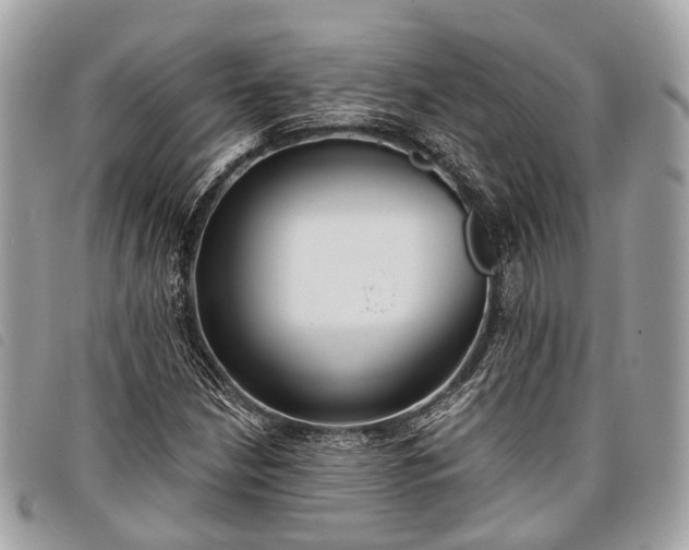 X0000098051210200804071459