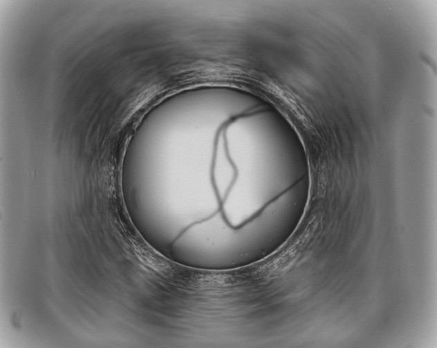 X0000098051211200804071459