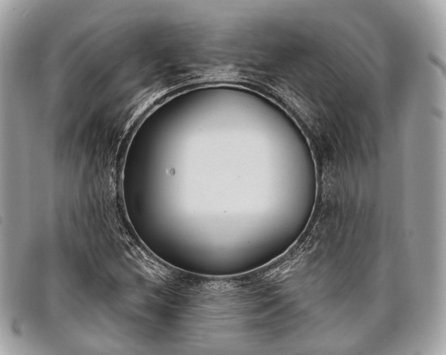 X0000098051212200804071459