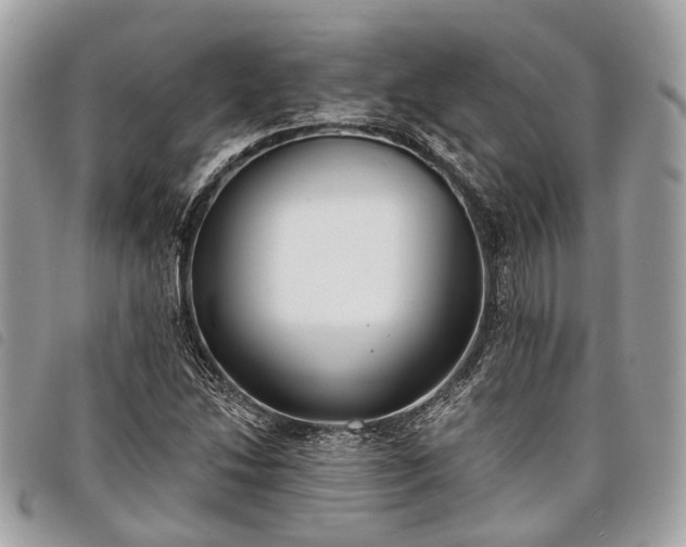 X0000098051214200804071459