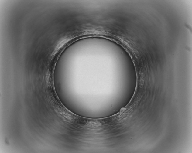 X0000098051215200804071459