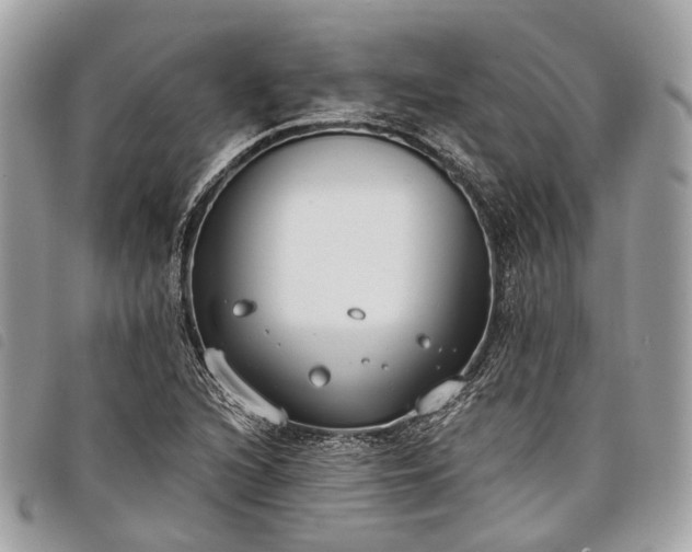 X0000098051216200804071459