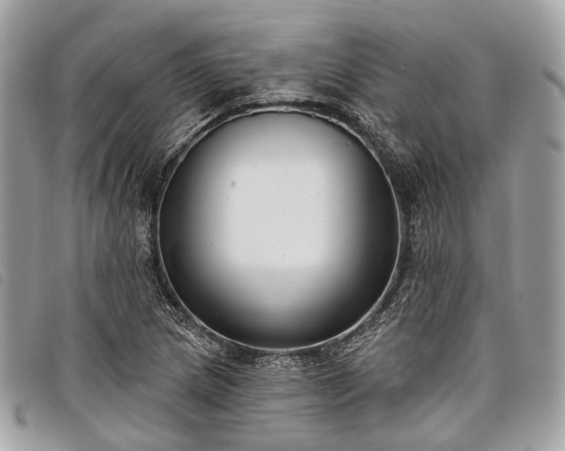 X0000098051217200804071459