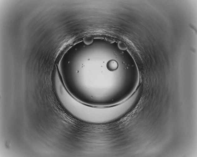 X0000098051218200804071459