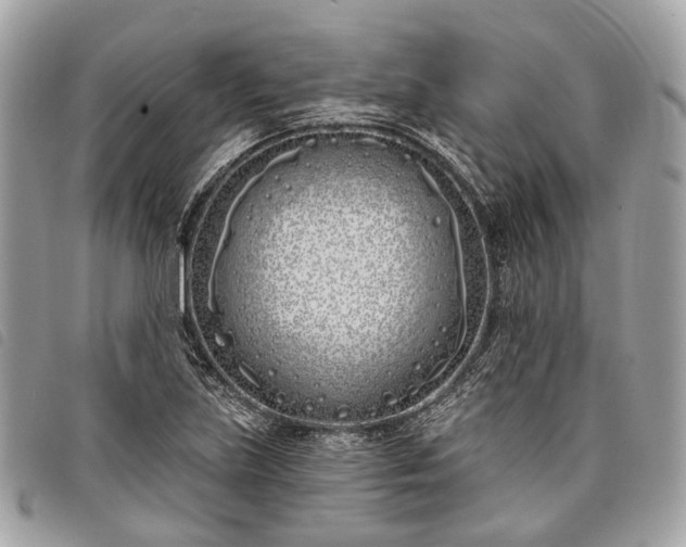 X0000098051219200804071459