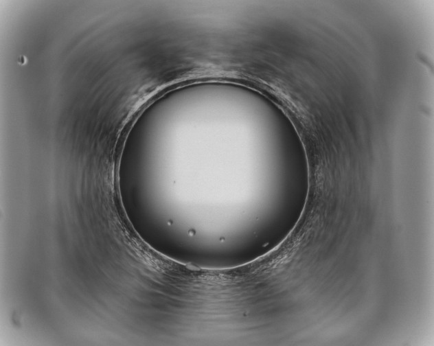 X0000098051220200804071459