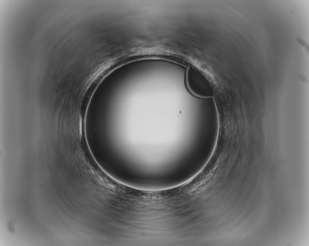 X0000098051221200804071459