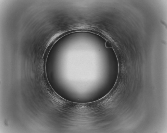 X0000098051222200804071459