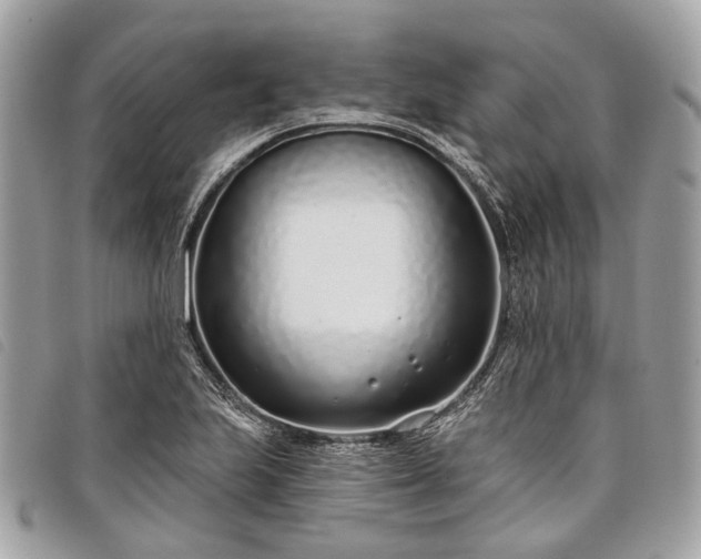 X0000098051223200804071459