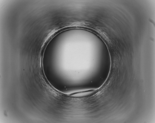 X0000098051224200804071459