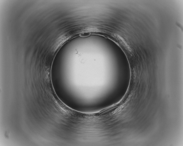 X0000098051225200804071459