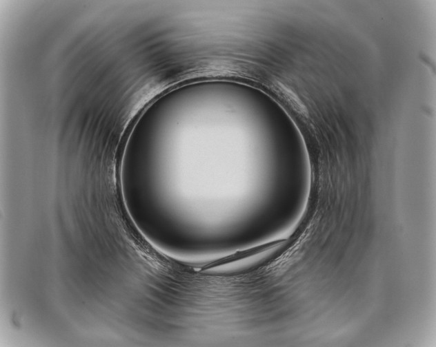 X0000098051226200804071459