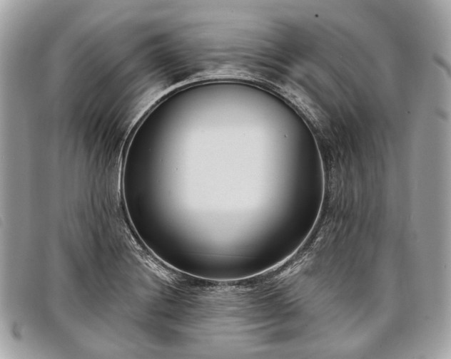 X0000098051228200804071459