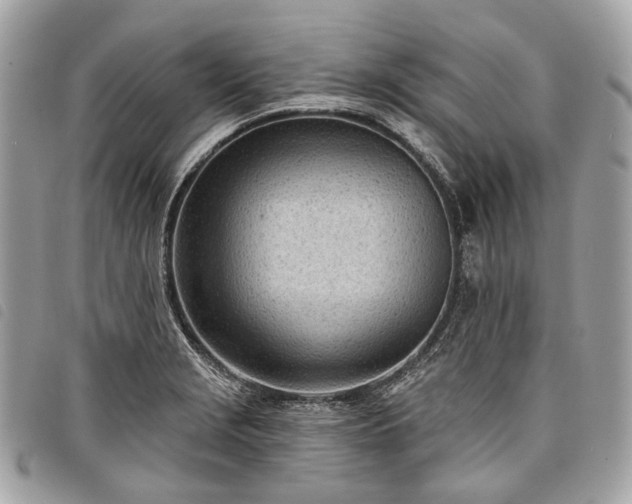 X0000098051229200804071459