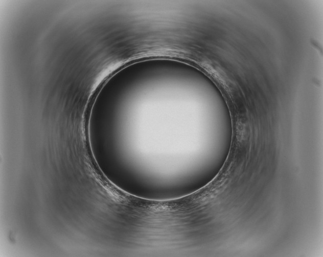 X0000098051230200804071459