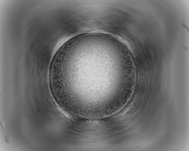 X0000098051231200804071459