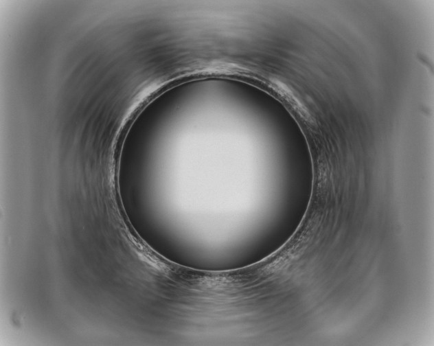 X0000098051232200804071459