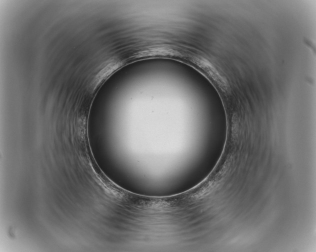 X0000098051233200804071459