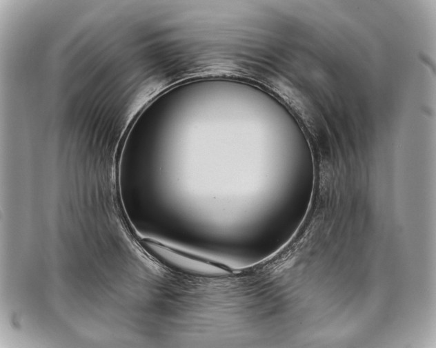 X0000098051234200804071459