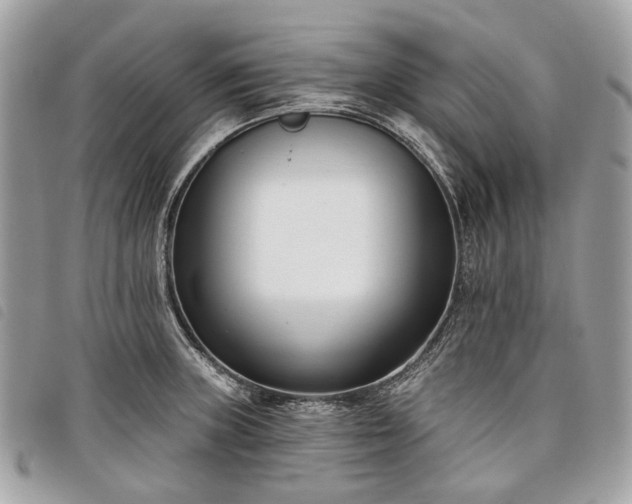 X0000098051235200804071459