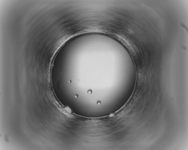 X0000098051236200804071459