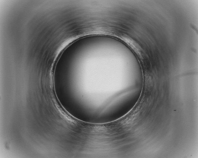 X0000098051238200804071459