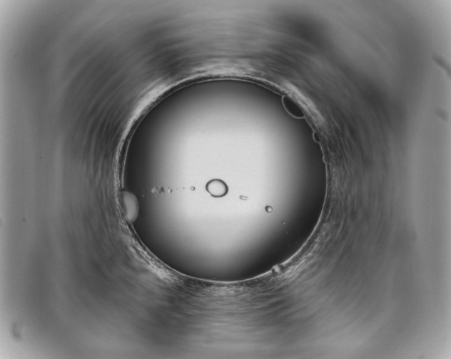 X0000098051240200804071459